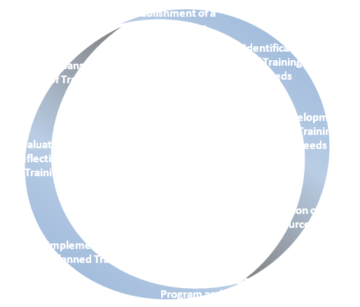 Training Cycle